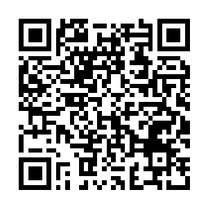 Link to your fundraiser QRCode - Fundraising
