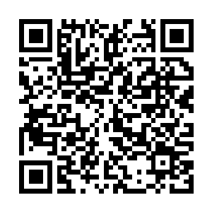Link to your fundraiser QRCode - Fundraising