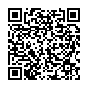 Link to your fundraiser QRCode - Fundraising