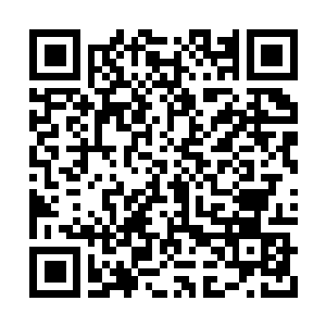 Link to your fundraiser QRCode - Fundraising