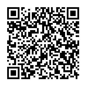 Link to your fundraiser QRCode - Fundraising