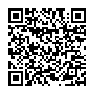 Link to your fundraiser QRCode - Fundraising