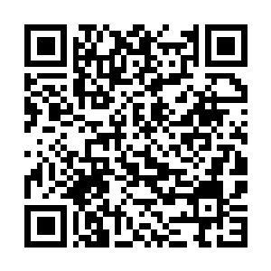 Link to your fundraiser QRCode - Fundraising