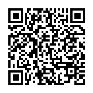 Link to your fundraiser QRCode - Fundraising