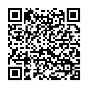 Link to your fundraiser QRCode - Fundraising