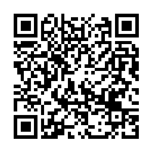 Link to your fundraiser QRCode - Fundraising