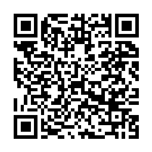 Link to your fundraiser QRCode - Fundraising