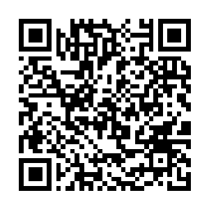 Link to your fundraiser QRCode - Fundraising