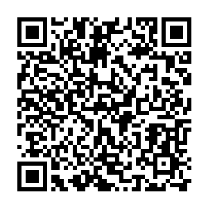 Link to your fundraiser QRCode - Fundraising