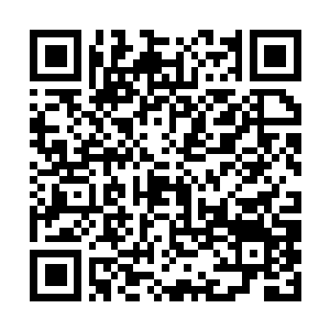 Link to your fundraiser QRCode - Fundraising