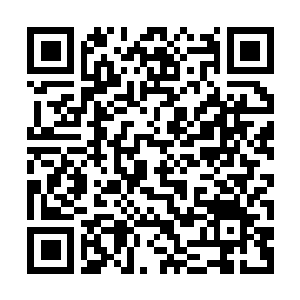 Link to your fundraiser QRCode - Fundraising
