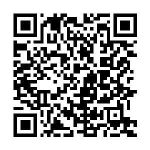 Link to your fundraiser QRCode - Fundraising