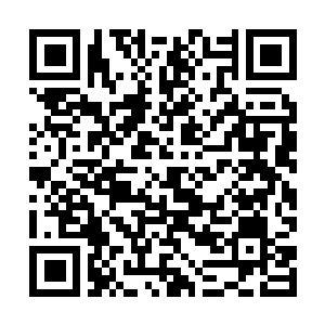 Link to your fundraiser QRCode - Fundraising