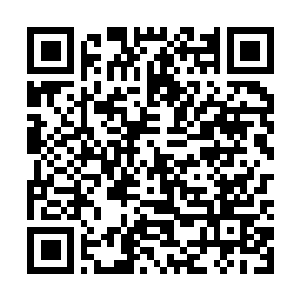 Link to your fundraiser QRCode - Fundraising