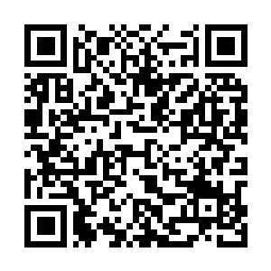 Link to your fundraiser QRCode - Fundraising