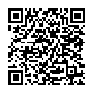 Link to your fundraiser QRCode - Fundraising