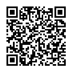 Link to your fundraiser QRCode - Fundraising