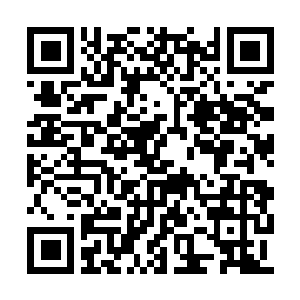 Link to your fundraiser QRCode - Fundraising