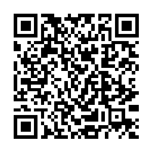 Link to your fundraiser QRCode - Fundraising