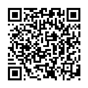 Link to your fundraiser QRCode - Fundraising