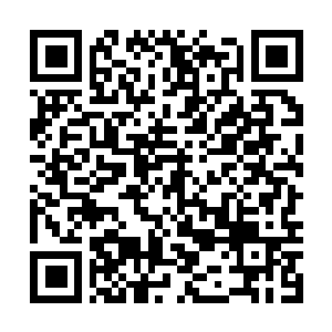 Link to your fundraiser QRCode - Fundraising