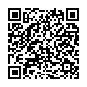 Link to your fundraiser QRCode - Fundraising