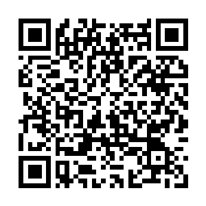 Link to your fundraiser QRCode - Fundraising
