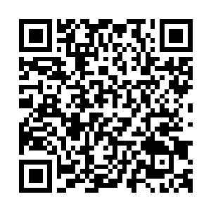 Link to your fundraiser QRCode - Fundraising