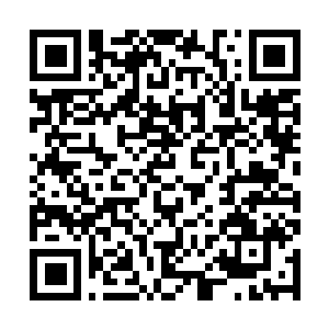 Link to your fundraiser QRCode - Fundraising