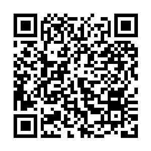 Link to your fundraiser QRCode - Fundraising