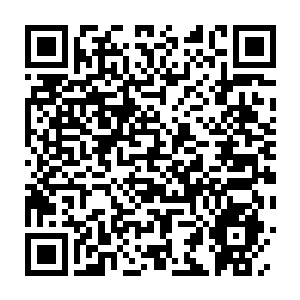Link to your fundraiser QRCode - Fundraising