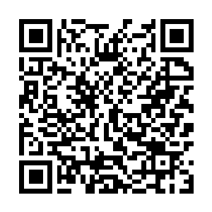 Link to your fundraiser QRCode - Fundraising