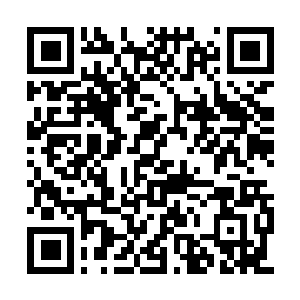 Link to your fundraiser QRCode - Fundraising