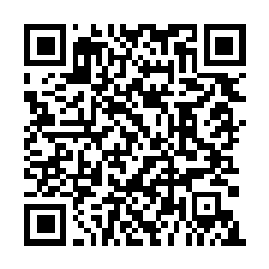 Link to your fundraiser QRCode - Fundraising