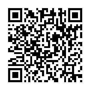 Link to your fundraiser QRCode - Fundraising