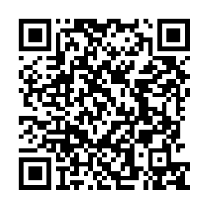 Link to your fundraiser QRCode - Fundraising