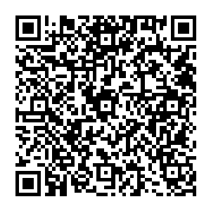 Link to your fundraiser QRCode - Fundraising