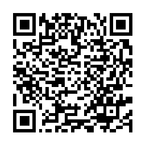 Link to your fundraiser QRCode - Fundraising