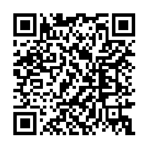 Link to your fundraiser QRCode - Fundraising