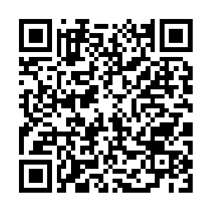 Link to your fundraiser QRCode - Fundraising