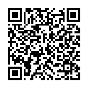 Link to your fundraiser QRCode - Fundraising