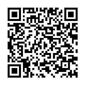 Link to your fundraiser QRCode - Fundraising