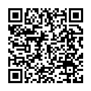 Link to your fundraiser QRCode - Fundraising