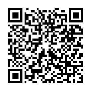 Link to your fundraiser QRCode - Fundraising