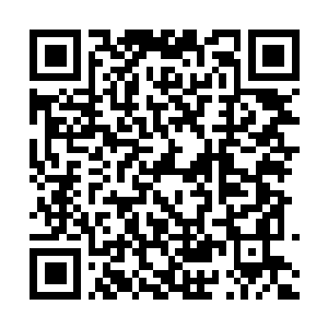 Link to your fundraiser QRCode - Fundraising