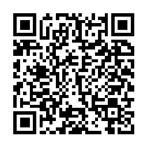 Link to your fundraiser QRCode - Fundraising