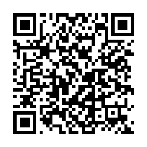 Link to your fundraiser QRCode - Fundraising