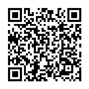 Link to your fundraiser QRCode - Fundraising