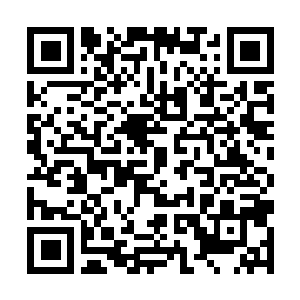 Link to your fundraiser QRCode - Fundraising