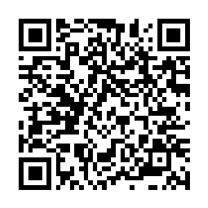 Link to your fundraiser QRCode - Fundraising